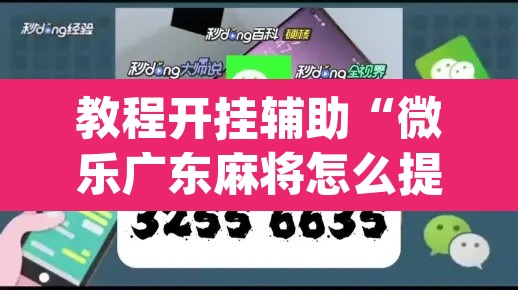 教程开挂辅助“微乐广东麻将怎么提高胜率”(透视挂)辅助透视教程