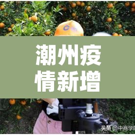 潮州疫情新增 → 潮州疫情最新 潮州疫情新增 → 潮州疫情最新