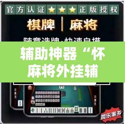 辅助神器“怀麻将外挂辅助器	”(透视挂)辅助透视教程