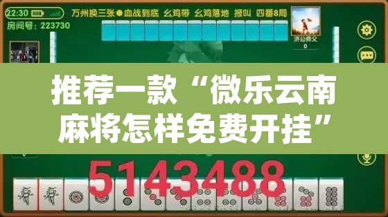 推荐一款“微乐云南麻将怎样免费开挂”(透视挂)辅助透视教程