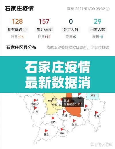 石家庄疫情最新数据消息今天新增›石家庄疫情最新消息今天新增了15例 石家庄疫情最新数据消息今天新增›石家庄疫情最新消息今天新增了15例