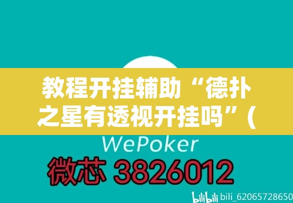 教程开挂辅助“德扑之星有透视开挂吗”(透视挂)辅助透视教程