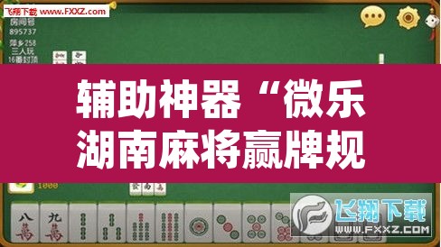 辅助神器“微乐湖南麻将赢牌规律是啥	”(透视挂)辅助透视教程