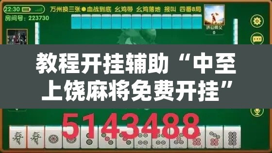 教程开挂辅助“中至上饶麻将免费开挂”(透视挂)辅助透视教程