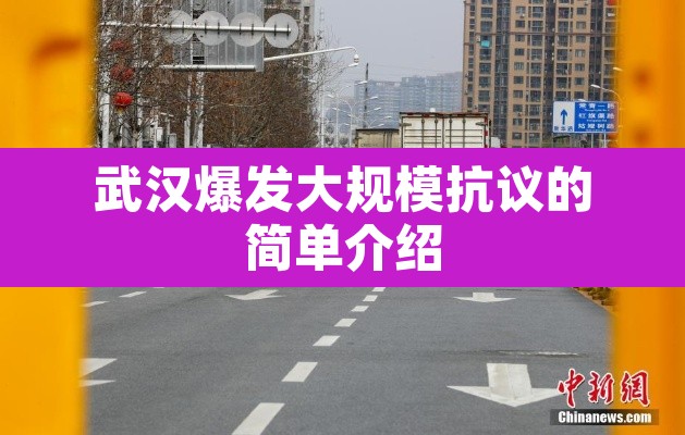 武汉爆发大规模抗议的简单介绍 武汉爆发大规模抗议的简单介绍