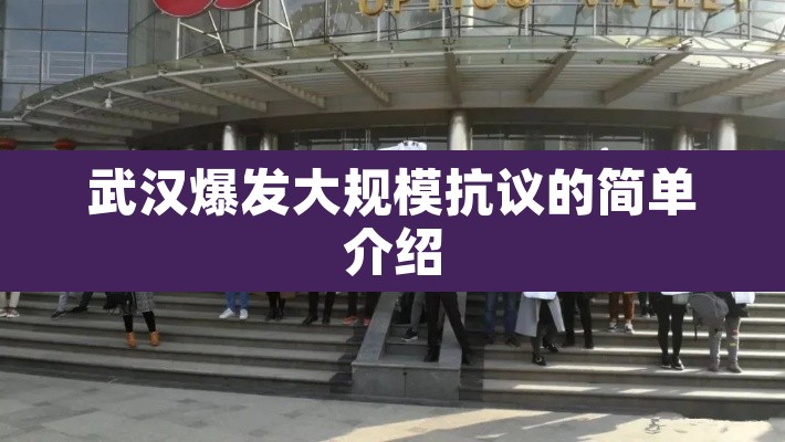 武汉爆发大规模抗议的简单介绍 武汉爆发大规模抗议的简单介绍