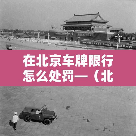 在北京车牌限行怎么处罚—（北京车牌号限行怎么处罚）