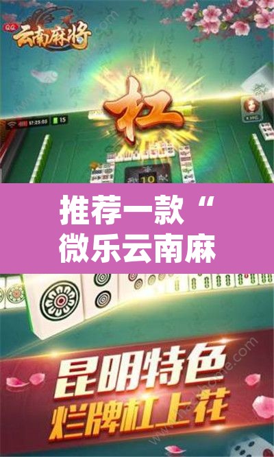 推荐一款“微乐云南麻将可以开挂吗	”(透视挂)辅助透视教程