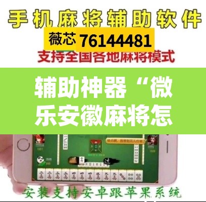 辅助神器“微乐安徽麻将怎么提高胜率”(透视挂)辅助透视教程