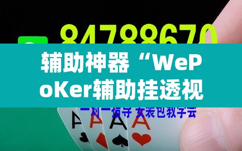 辅助神器“WePoKer辅助挂透视软件”(透视挂)辅助透视教程