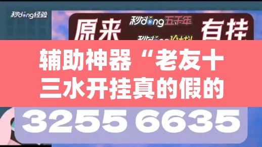 辅助神器“老友十三水开挂真的假的”(透视挂)辅助透视教程