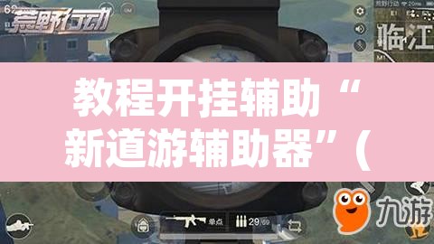 教程开挂辅助“新道游辅助器	”(透视)其实确实有挂
