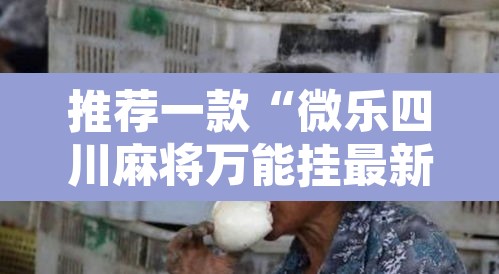 推荐一款“微乐四川麻将万能挂最新版	”开挂辅助脚本+详细开挂安装教程