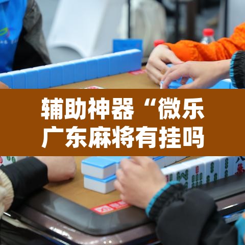 辅助神器“微乐广东麻将有挂吗”(透视挂)辅助透视教程