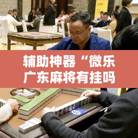 辅助神器“微乐广东麻将有挂吗”(透视挂)辅助透视教程