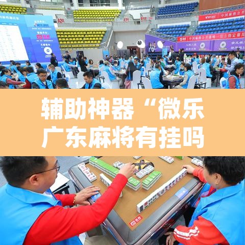辅助神器“微乐广东麻将有挂吗	”(透视挂)辅助透视教程