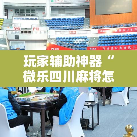 玩家辅助神器“微乐四川麻将怎么控制输赢”其实确实有挂