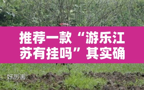 推荐一款“游乐江苏有挂吗”其实确实有挂