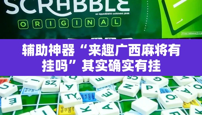 辅助神器“来趣广西麻将有挂吗”其实确实有挂