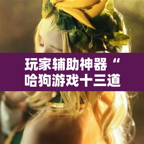 玩家辅助神器“哈狗游戏十三道怎么才能赢”其实确实有挂