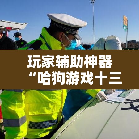 玩家辅助神器“哈狗游戏十三道怎么才能赢	”其实确实有挂