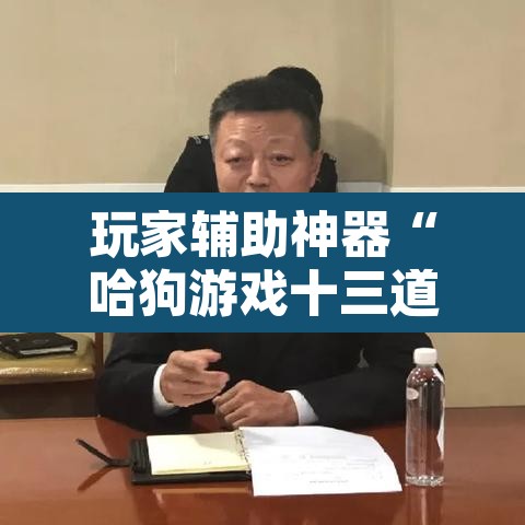 玩家辅助神器“哈狗游戏十三道怎么才能赢”其实确实有挂