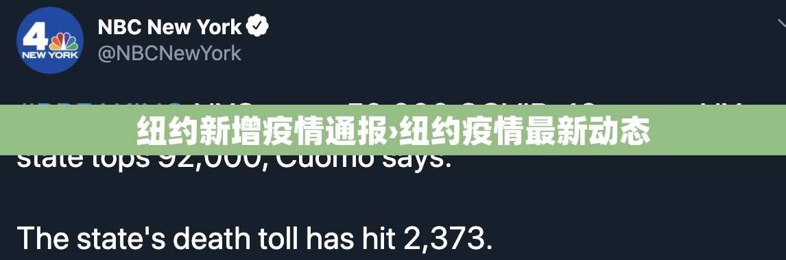 纽约新增疫情通报›纽约疫情最新动态 纽约新增疫情通报›纽约疫情最新动态