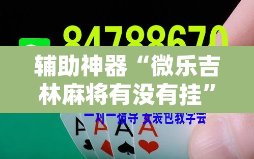 辅助神器“微乐吉林麻将有没有挂	”(透视挂)辅助透视教程