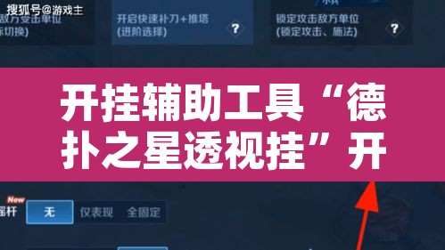 开挂辅助工具“德扑之星透视挂”开挂辅助脚本+详细开挂安装教程