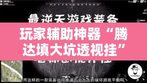 玩家辅助神器“腾达填大坑透视挂”其实确实有挂