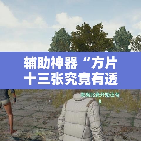辅助神器“方片十三张究竟有透视挂吗	”附辅助神器开挂脚本详细步骤
