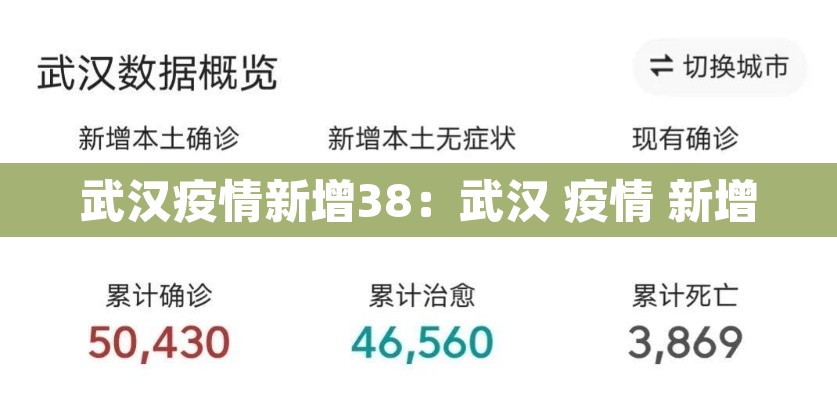 武汉疫情新增38:武汉 疫情 新增 武汉疫情新增38:武汉 疫情 新增