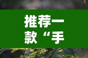 推荐一款“手机麻将必赢神软件”(透视挂)辅助透视教程