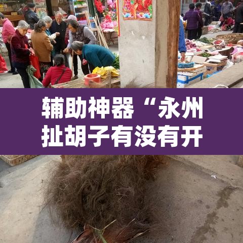 辅助神器“永州扯胡子有没有开挂器”(透视挂)辅助透视教程