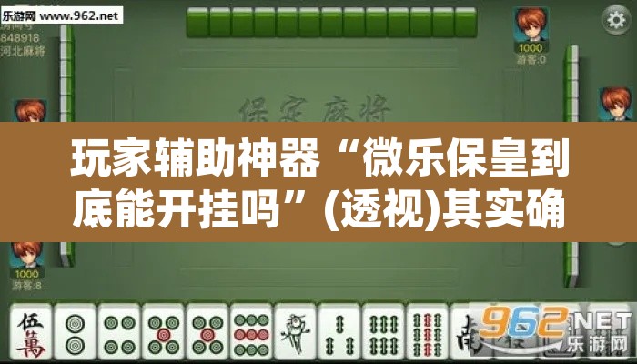 玩家辅助神器“微乐保皇到底能开挂吗”(透视)其实确实有挂