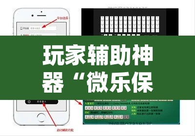 玩家辅助神器“微乐保皇到底能开挂吗”(透视)其实确实有挂