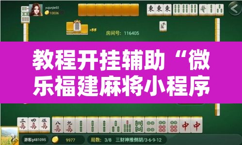 教程开挂辅助“微乐福建麻将小程序挂”开挂辅助脚本+详细开挂安装教程