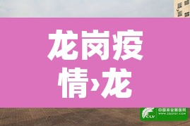 龙岗疫情›龙岗疫情情况 龙岗疫情›龙岗疫情情况