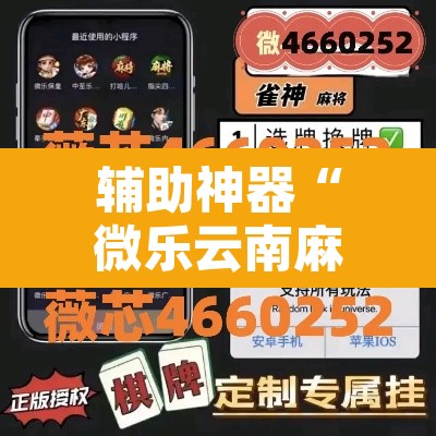 辅助神器“微乐云南麻将万能开挂器”开挂辅助脚本+详细开挂安装教程