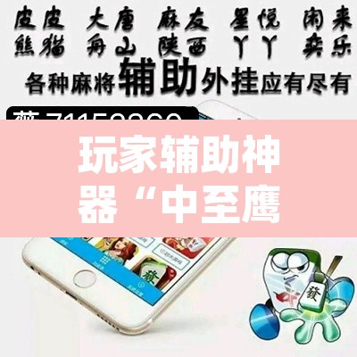 玩家辅助神器“中至鹰潭麻将免费挂”(透视挂)辅助透视教程