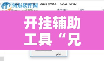 开挂辅助工具“兄弟大厅开挂透视软件”开挂辅助脚本+详细开挂安装教程