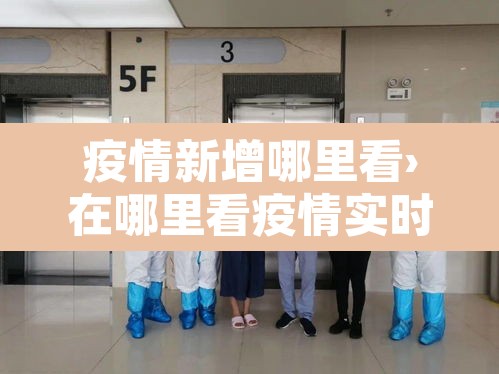疫情新增哪里看›在哪里看疫情实时动态 疫情新增哪里看›在哪里看疫情实时动态