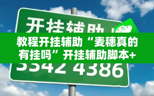 教程开挂辅助“麦穗真的有挂吗	”开挂辅助脚本+详细开挂安装教程