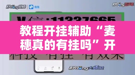 教程开挂辅助“麦穗真的有挂吗”开挂辅助脚本+详细开挂安装教程