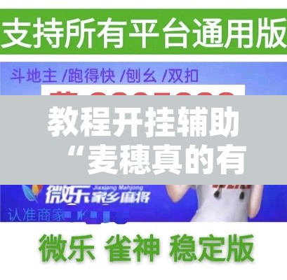 教程开挂辅助“麦穗真的有挂吗”开挂辅助脚本+详细开挂安装教程