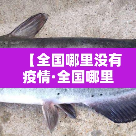 【全国哪里没有疫情·全国哪里没有疫情最严重】 【全国哪里没有疫情·全国哪里没有疫情最严重】