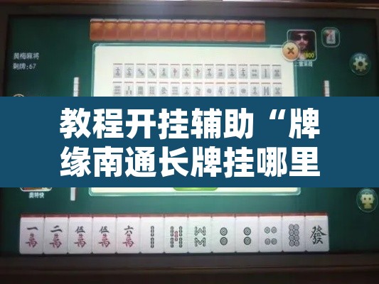 教程开挂辅助“牌缘南通长牌挂哪里能买	”其实确实有挂