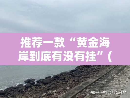 推荐一款“黄金海岸到底有没有挂”(透视挂)辅助透视教程