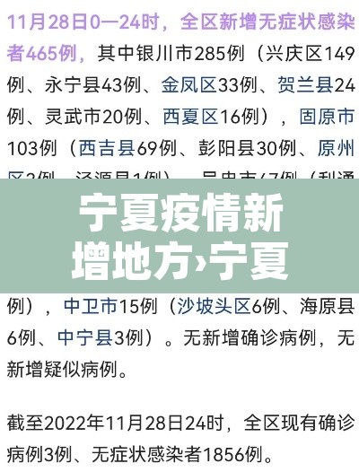 宁夏疫情新增地方›宁夏疫情区