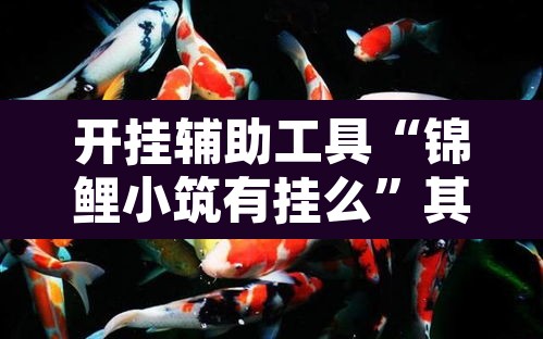 开挂辅助工具“锦鲤小筑有挂么”其实确实有挂